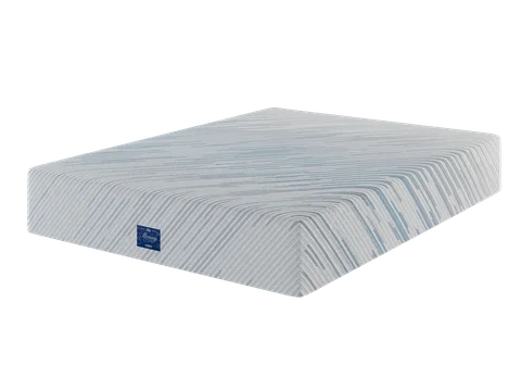 Memory Core Hybrid Firm