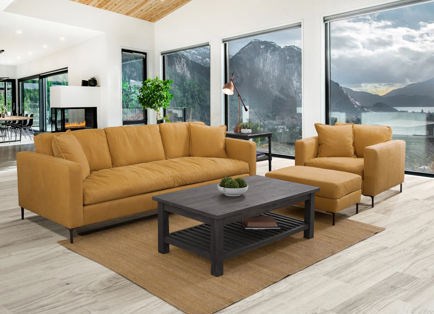 1731L-Coyote-Acorn_RS