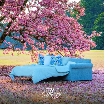 438495144_788634692824488_1044780037537087606_n