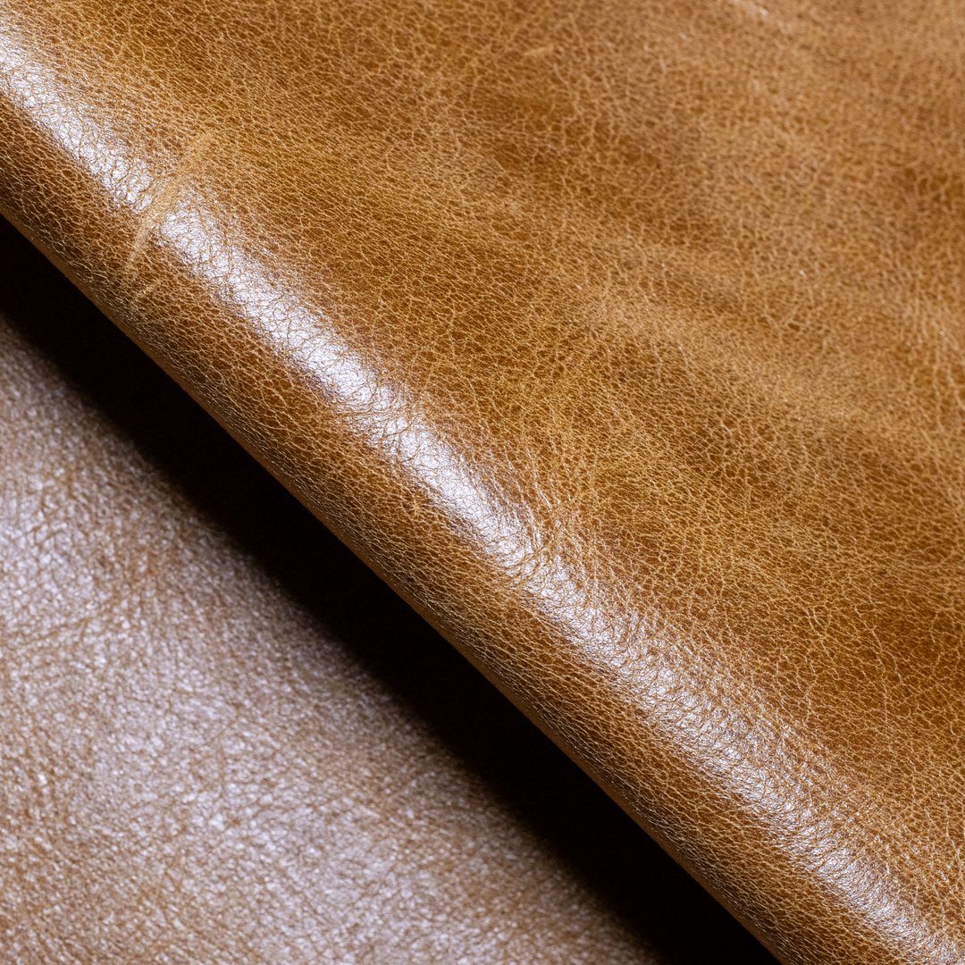 Bermuda.Desert Camel.jpg