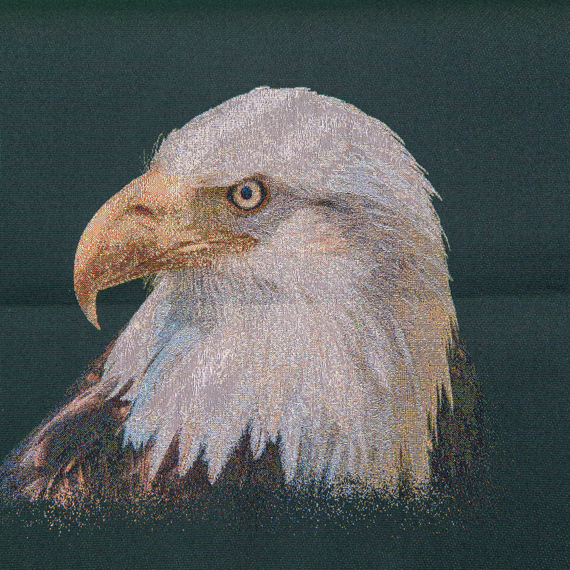 bald eagle.forest.png