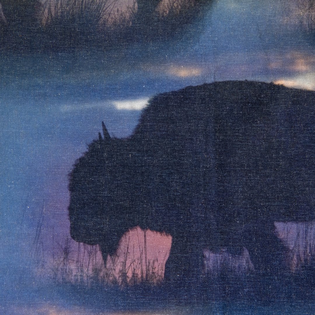 bison.sunset.jpg