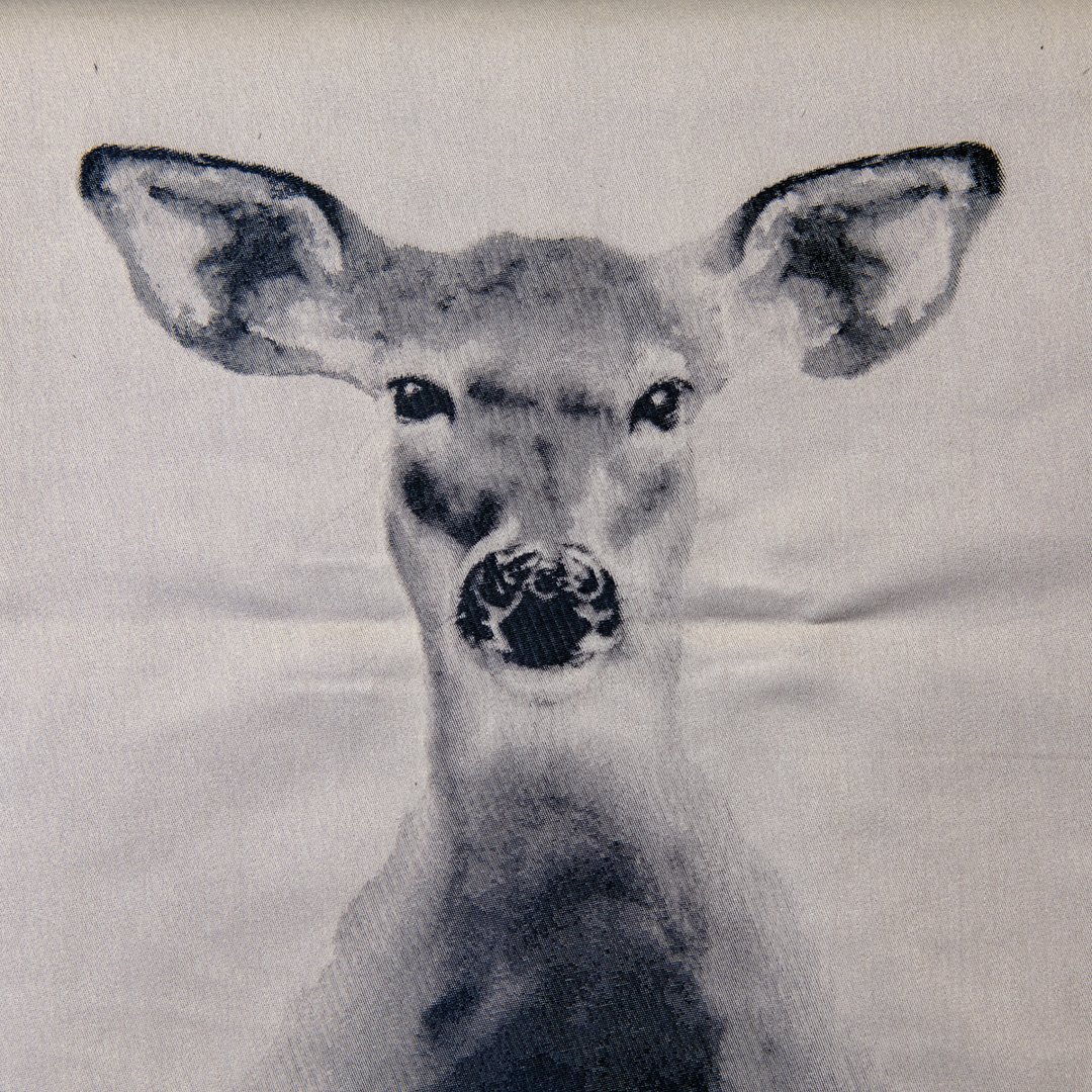 doe see doe.moonlight.jpg