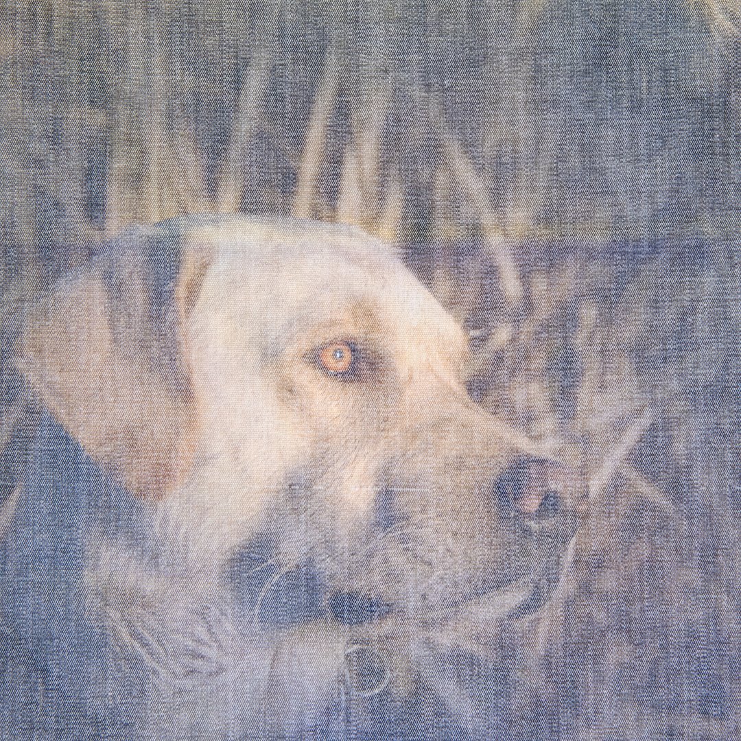 hunt dog.sunrise.jpg