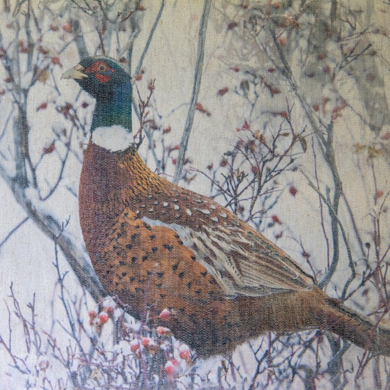 pleasant.pheasant.jpg