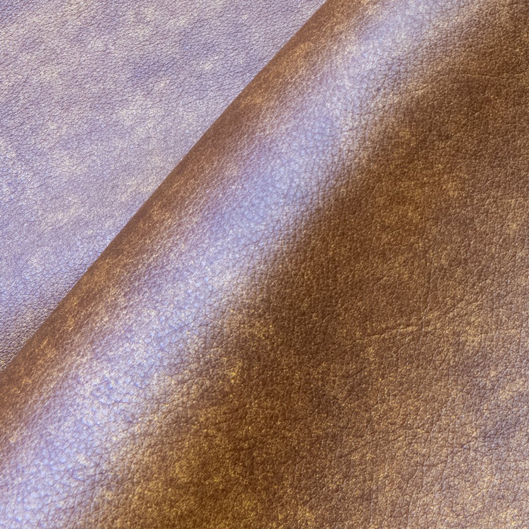 running wyld.gentle fawn.jpg