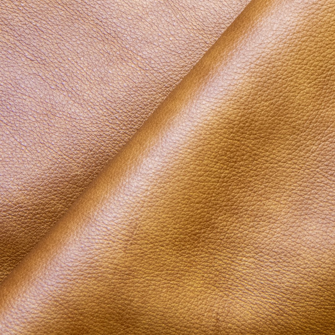 running wyld.mustang.jpg